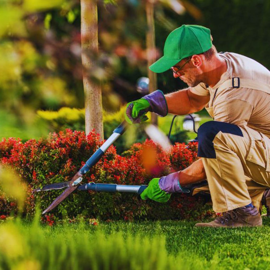 Why Choose Landscaping Services - Buildscape Pros
