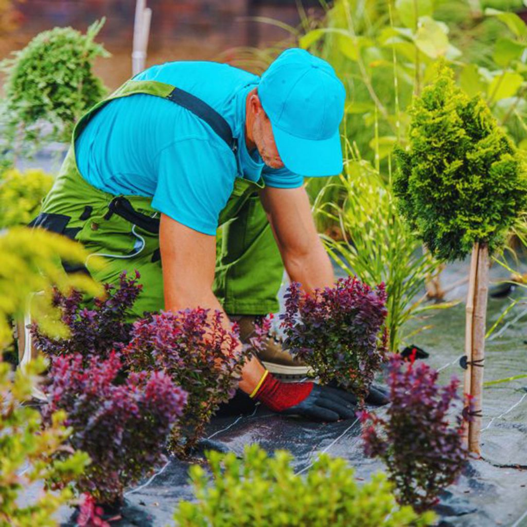 About Landscaping Services - Buildscape Pros